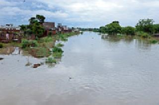 Surrey | सरीवर सरी ....