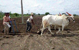 Waiting for big rains ... | मोठ्या पावसाची प्रतीक्षा...