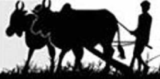 Nationalized banks trailing back in peak tax | पीककर्जवाटपात राष्ट्रीयीकृत बँका पिछाडीवर