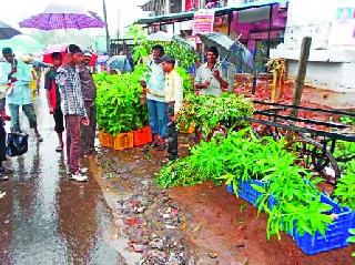 Rainfall in the Surgan | सुरगाण्यात पावसाचे आगमन