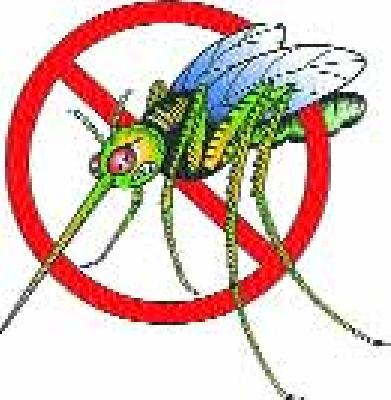 The chicken grind affected patients increased | चिकुन गुनियासदृश रुग्ण वाढले