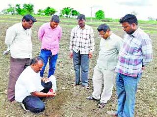 Soya bean seeds 'soils' | सोयाबीन बियाणे ‘मातीत’