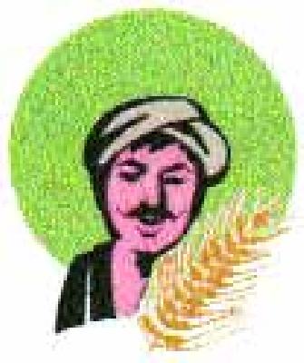 Crush farmers' unhappiness with 'agriculture' | ‘कृषी’च्या हलगर्जीपणाचा शेतकऱ्यांना फटका