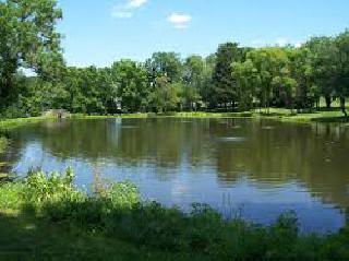 Holding pond's foul odor increased | होल्डिंग पॉण्डची दुर्गंधी वाढली Holding pond's foul odor increased | होल्डिंग पॉण्डची दुर्गंधी वाढली