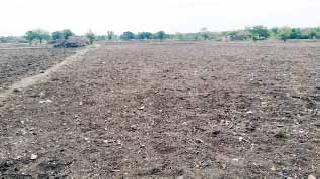 Kharif sowing is only 22 percent | खरिपाच्या पेरण्या केवळ २२ टक्के