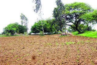 Do not worry about the victims | बळीराजाच्या संकटाचा फेरा सुटेना