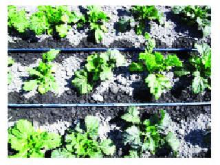 Savvakoti rupees tired | सव्वाकोटी रुपये थकित