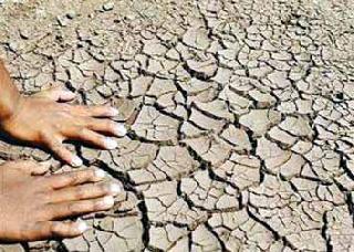 Sowing only on one hectare hectare | केवळ १ लाख हेक्टरवर पेरणी