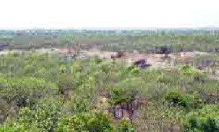 Ignore the forestry ... | वनसंवर्धनाकडे होतेय दुर्लक्ष... Ignore the forestry ... | वनसंवर्धनाकडे होतेय दुर्लक्ष...