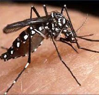 Due to rainy diseases thunderstorms | पावसाळी आजारांनी ठाणोकर त्रस्त Due to rainy diseases thunderstorms | पावसाळी आजारांनी ठाणोकर त्रस्त