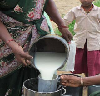 Noise in Dairy: Maharashtra tops the list | डेअरीमधील नोक:यांबाबत महाराष्ट्र अव्वल स्थानी