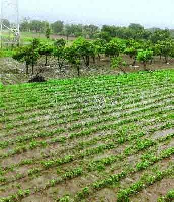 First rain in the district for the first time | जिल्ह्यात प्रथमच सर्वदूर पाऊस