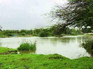 Municipal Corporation filed false affidavit in High Court! | महापालिकेने उच्च न्यायालयात दिले खोटे शपथपत्र !