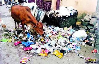 Sanitation, crippled citizens due to lack of water | स्वच्छता, पाण्याअभावी नागरिक त्रस्त