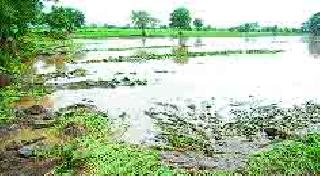 Farmers still have eyes in the eyes | शेतक ऱ्यांच्या डोळ्यात आजही पाणी