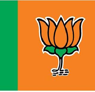 Invalid hoardings closed | अवैध होर्डिग्ज बंद