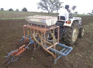 Complete the sowing of 64 thousand 359 hectare area | ६४ हजार ३५९ हेक्टर क्षेत्रात पेरण्या पूर्ण