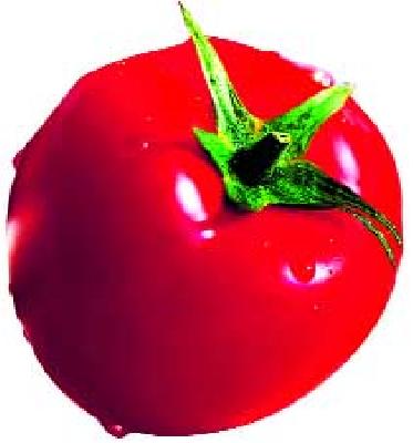 With the increase in the price, the onion prices are stable | निर्यातमूल्य वाढविल्याने कांदा भाव स्थिर