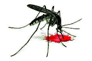 'That' dengue patient's death | ‘त्या’ डेंग्यू रुग्णाचा मृत्यू
