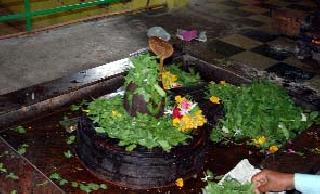 Regularly worshiping trikal | नित्यनेमाने त्रिकाल पूजा