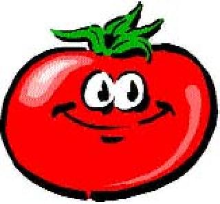Tomato crossed the ninth! | टोमॅटोने ओलांडली नव्वदी !