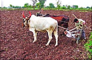 Malegaavi 194 mm Rain sign | मालेगावी १९४ मि.मी. पावसाची नोंद Malegaavi 194 mm Rain sign | मालेगावी १९४ मि.मी. पावसाची नोंद