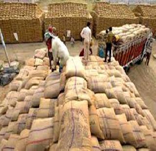 Food Corporation of India has taken loan of Rs 20,000 crore | अन्न महामंडळाने घेतले 20 हजार कोटींचे कर्ज