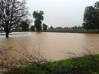Farmers havent after applying water to the fields | शेतात पाणी साचल्याने शेतकरी हवालदिल