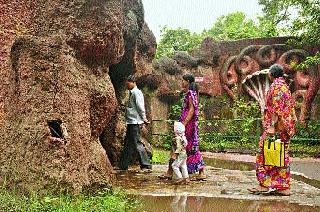 Siddhartha sacristy! | सिद्धार्थ प्राणिसंग्रहालयाला अवकळा!