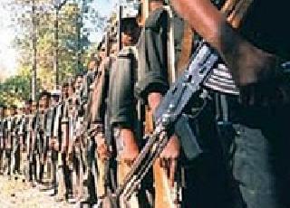 Naxal activities affect the farming activities | नक्षलबंदमुळे शेतीची कामे प्रभावित Naxal activities affect the farming activities | नक्षलबंदमुळे शेतीची कामे प्रभावित