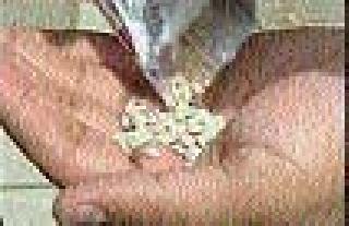 Four lakhs of gaakka seized in Ambajogai | अंबाजोगाईत साडेचार लाखांचा गुटखा जप्त