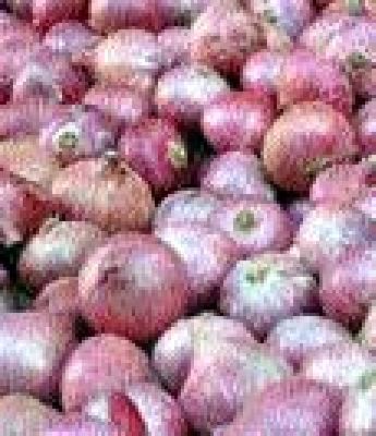 Inland taluka was planted onion production! | भूम तालुक्यात कांदा लागवड झाली ठप्प !