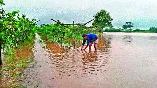Godavari crosses danger level | गोदावरीने ओलांडली धोक्याची पातळी Godavari crosses danger level | गोदावरीने ओलांडली धोक्याची पातळी