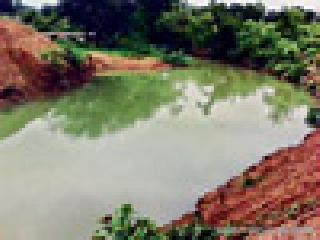 Three die by dowry and three deaths | बंधाऱ्यात बुडून तिघांचा मृत्यू Three die by dowry and three deaths | बंधाऱ्यात बुडून तिघांचा मृत्यू