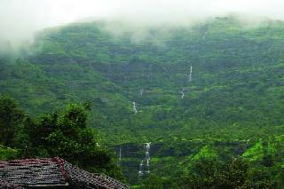 The nature of the reservoir blossomed | भंडारदऱ्याचा निसर्ग फुलला
