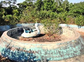 Pelicans park again in CIDCO | सिडकोतील पेलिकन पार्कच्या प्रश्नाने पुन्हा उगारला फणा Pelicans park again in CIDCO | सिडकोतील पेलिकन पार्कच्या प्रश्नाने पुन्हा उगारला फणा