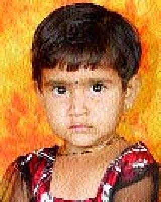 Dengue sufferer found at Pandharpur | पंढरपुरात आढळला डेंग्यूचा रुग्ण