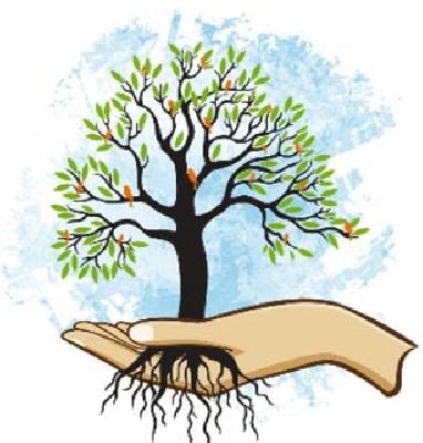 Rainfall 'brake' for plantation campaign | वृक्षारोपण मोहिमेला पावसाचा ‘ब्रेक’