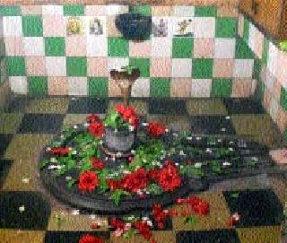 Neelkantheshwar complex of Hiranya | हिरवाईने नटला नीळकंठेश्वराचा परिसर