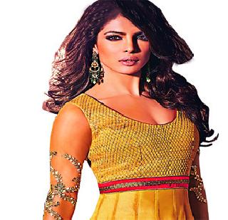 Priyanka's movie hangs out | प्रियंकाचा चित्रपट लटकला Priyanka's movie hangs out | प्रियंकाचा चित्रपट लटकला