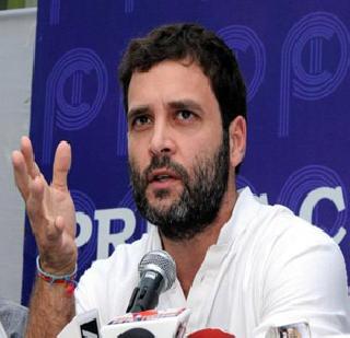 Rahul Gandhi aggressor in Lok Sabha | लोकसभेत राहुल गांधी आक्रमक