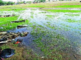 Wasted thousands of liters at the college grounds by breaking the water channel | जलवाहिनी फुटून लगतच्या कॉलेज मैदानावर हजारो लिटर वाया