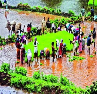 Sorrow for the stomach | पोटासाठी दु:ख गाठीला Sorrow for the stomach | पोटासाठी दु:ख गाठीला