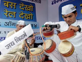 Before the elections, separate Vidarbha will be announced | निवडणुकीपूर्वी स्वतंत्र विदर्भाची घोषणा करावी