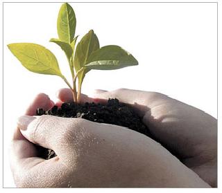 10,000 thousand students distributed message of tree conservation | १0 हजार विद्यार्थ्यांनी दिला वृक्ष संवर्धनाचा संदेश 10,000 thousand students distributed message of tree conservation | १0 हजार विद्यार्थ्यांनी दिला वृक्ष संवर्धनाचा संदेश