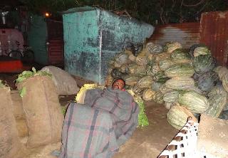 Various problems in the area surrounding the greenhouse of leafy vegetables | पालेभाज्यांच्या हर्राशी परिसरात विविध समस्या