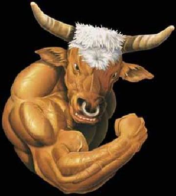 The priest turned the bull bull thief | पुजारी तरुण निघाला बैल चोर