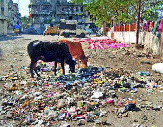 Trilogy Raised Manure Project | त्र्यंबकला उभारावा खत प्रकल्प Trilogy Raised Manure Project | त्र्यंबकला उभारावा खत प्रकल्प