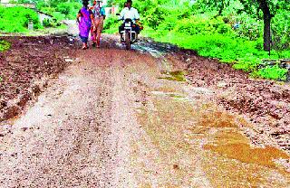 All the streets in the valley of the Naigaon | नायगाव खोऱ्यातील सर्वच रस्त्यांची दैनावस्था