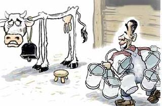 Milk collection, machinery subsidy | दूध संकलनाची बोंब, यंत्रसामग्रीसाठी अनुदान